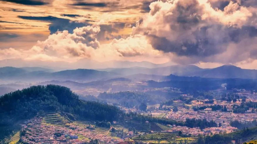 Tempo traveller service